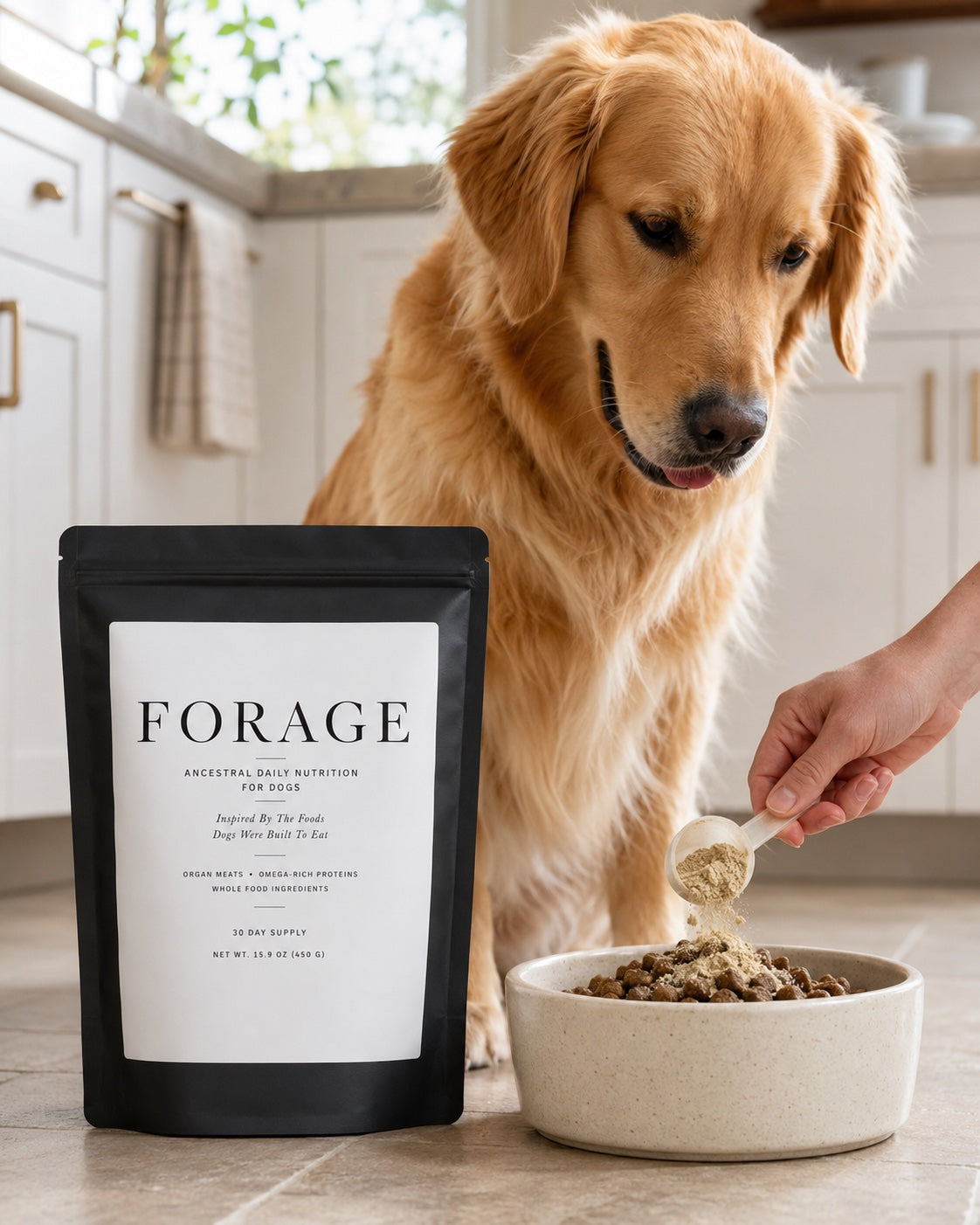 FORAGE