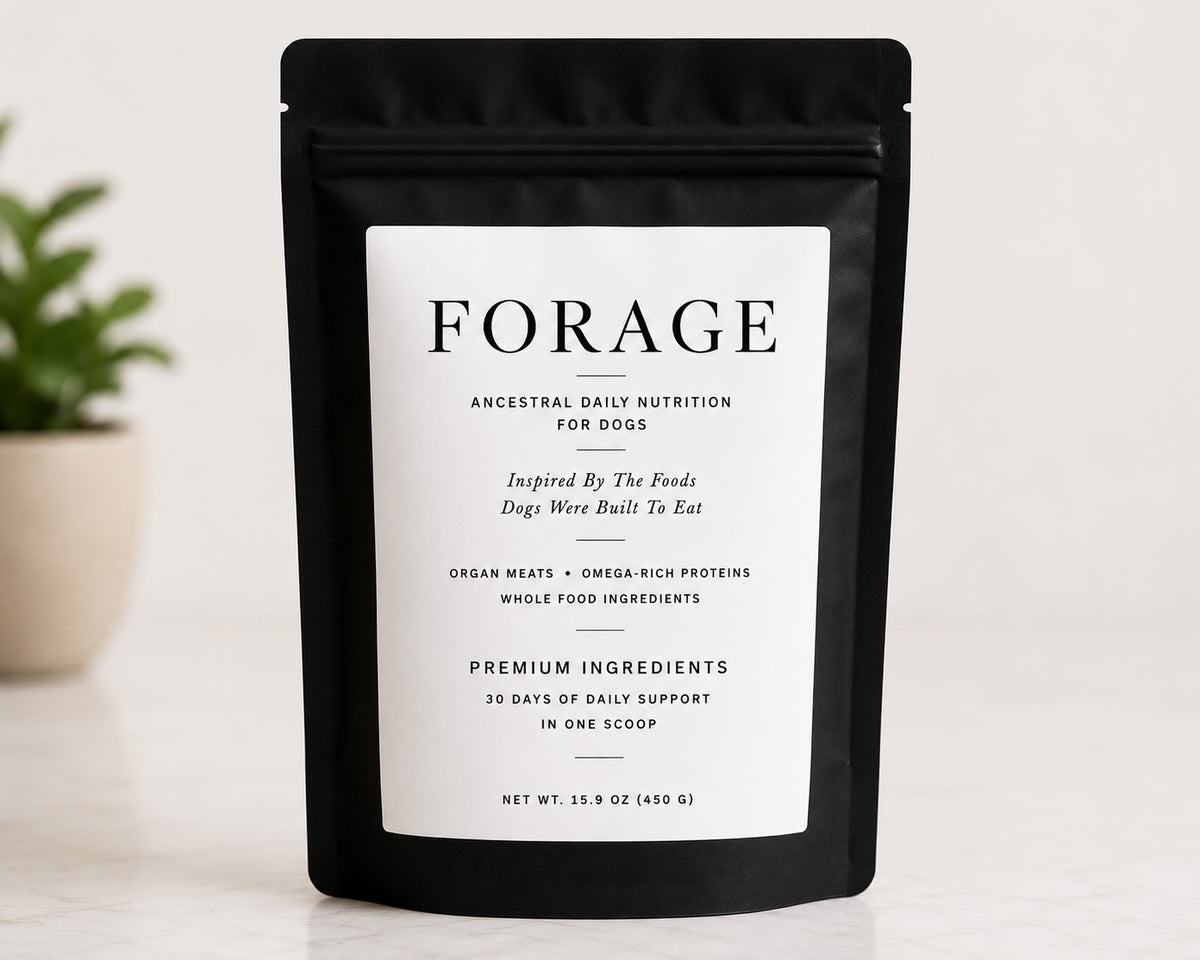 FORAGE
